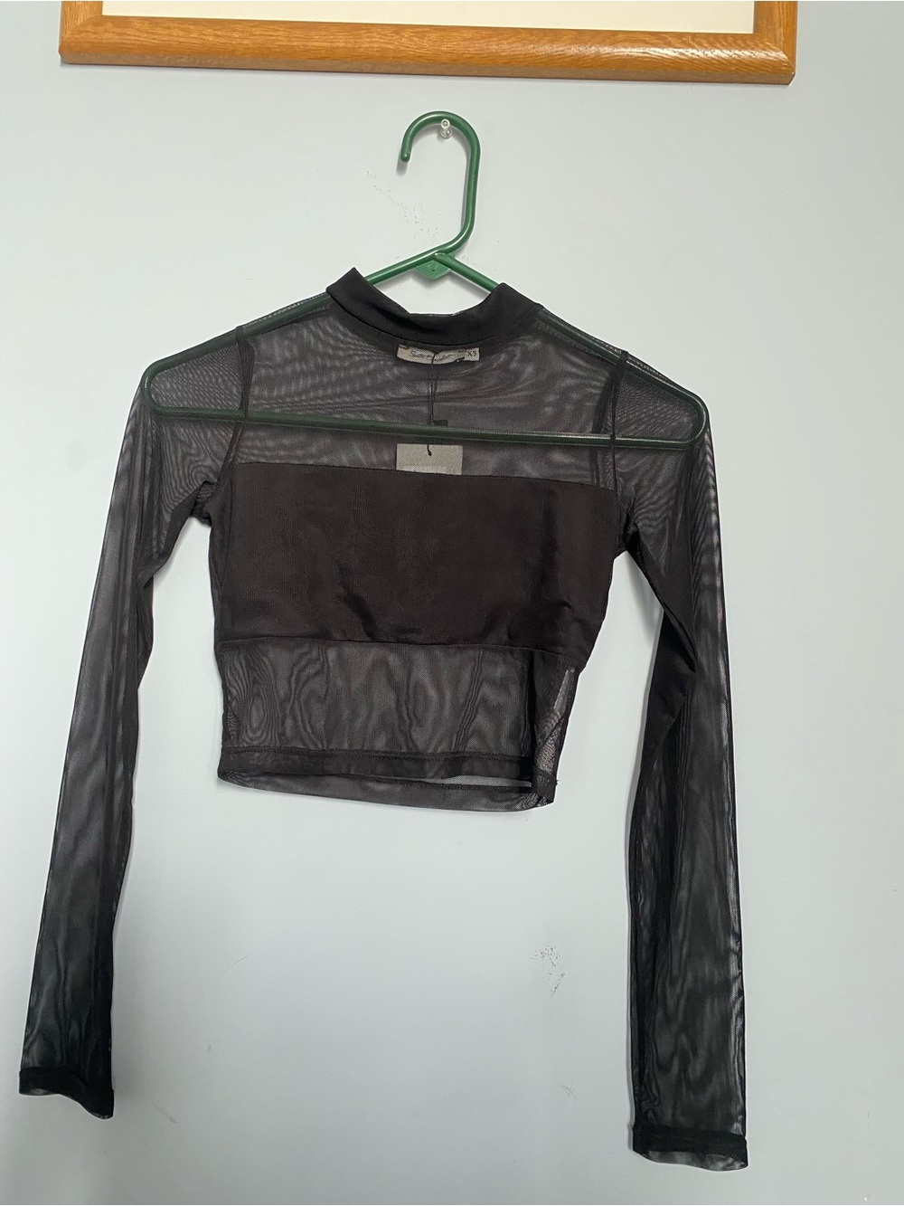 Grunge Glam Sheer Black Long-Sleeve Mesh Crop Top